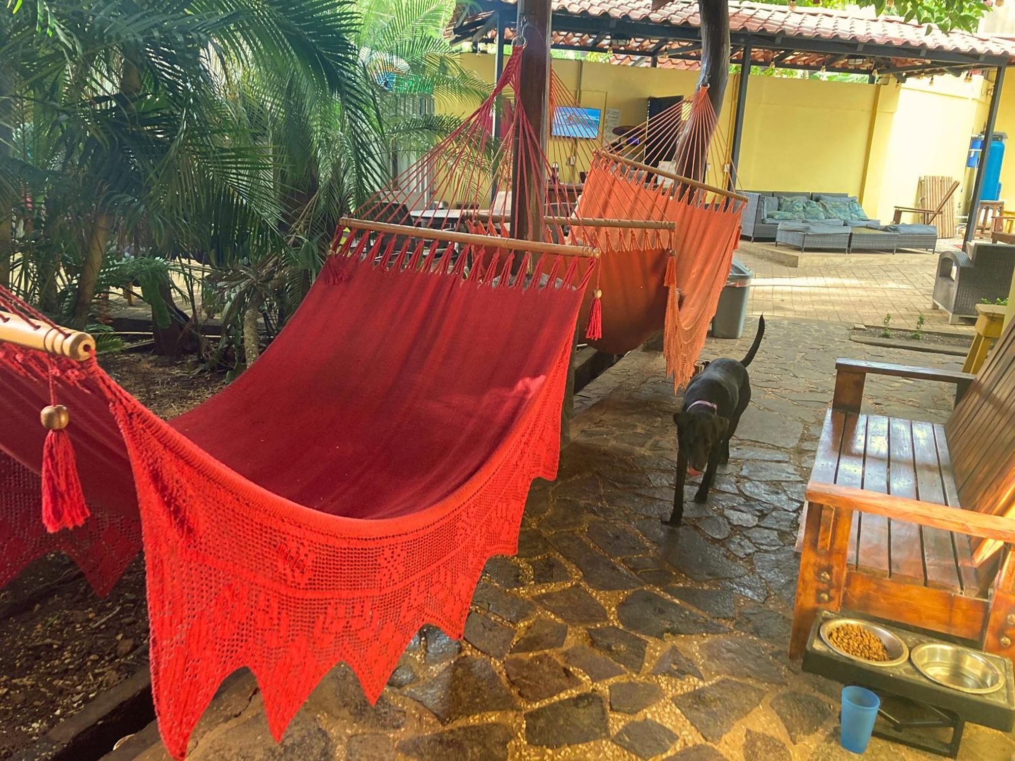 Хостел Tamarindo Backpackers Екстер'єр фото